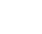Metricon